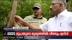 Spike disease of sandalwood; Forest Minister AK Sasindran in Marayoor