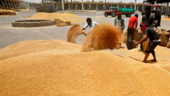 Wheat stocks may be 80 percent higher than buffer stock Wheat stocks may be 80 percent higher than buffer stock