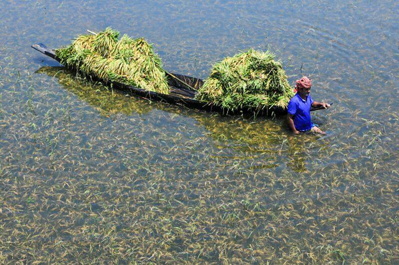 floating farms in bangladesh
