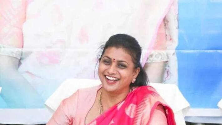 AP Minister RK Roja Satirical Comments On TDP AP Minister RK Roja Satirical Comments On TDP