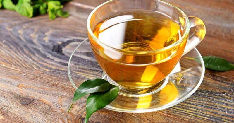 Fat burning to lower risk of cancer: 8 benefits of drinking Green Tea RBA