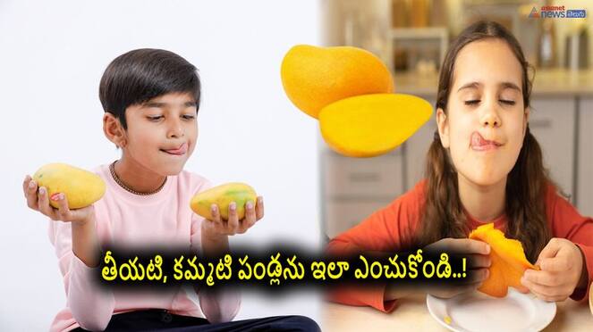 tips to buy fresh and sweet mangoes