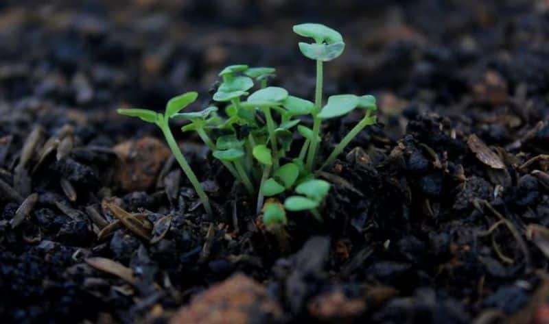 Save Soil Movement: 15 significant facts you must know