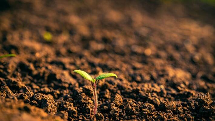 Land for farmers who till The Sendi Land snr Land for farmers who till The Sendi Land snr