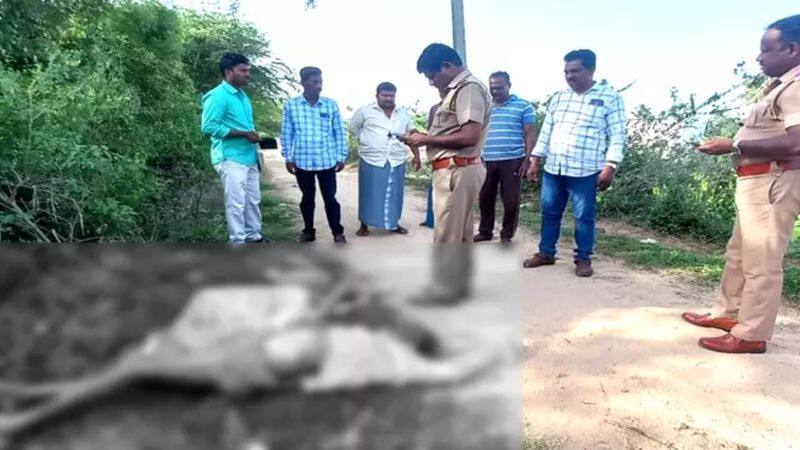The incident where mysterious persons killed the couple near Arakkonam and threw the body in the roadside bush has caused great shock