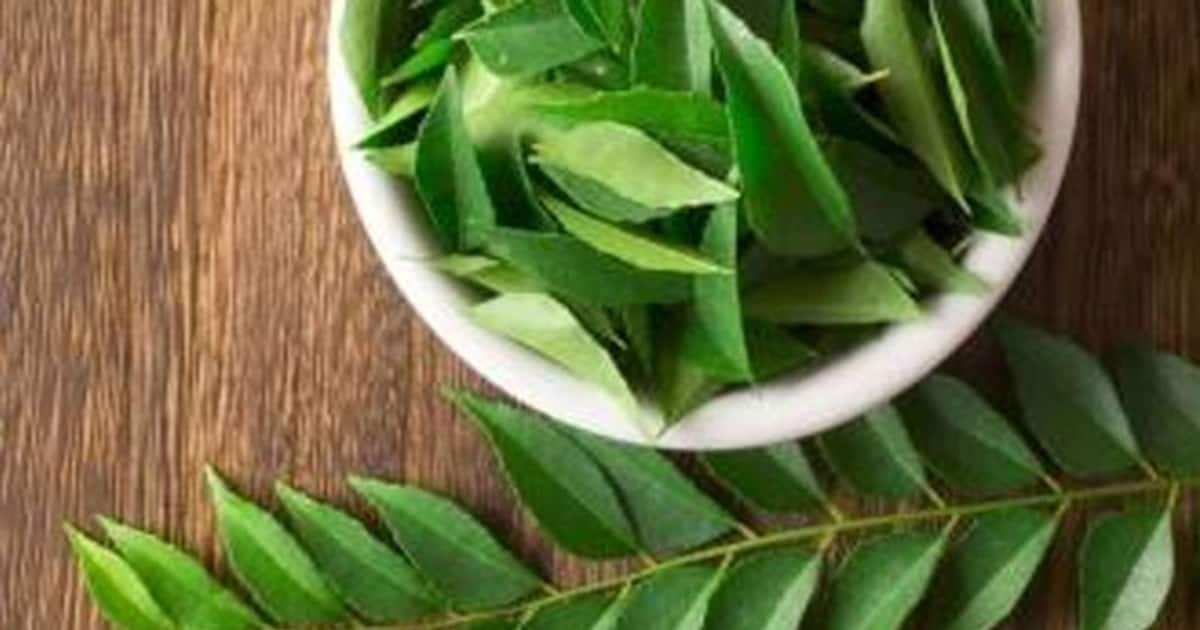 தலை முடியில் இருந்து உடல் அரோக்கியம் வரை கறிவேப்பிலையின் சிறப்பு பண்புகள் இதோ..!!