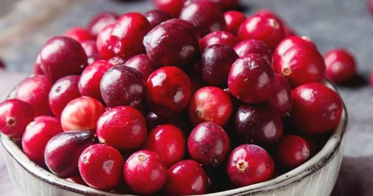 கிரான்பெர்ரி பழம் பத்தி தெரியுமா? இதை சாப்பிட்டால் சிறுநீர் பாதை நோயை சுலபமா விரட்டலாம்