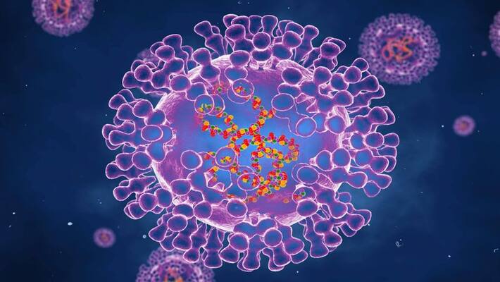 What is Marburg virus reported in Ghana Know its symptoms treatment and more gcw What is Marburg virus reported in Ghana Know its symptoms treatment and more gcw
