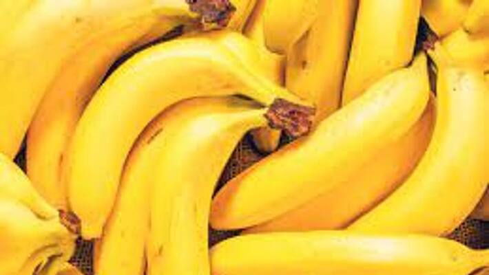 Banana Benefits Eating bananas every day strengthens bones bsm Banana Benefits Eating bananas every day strengthens bones bsm