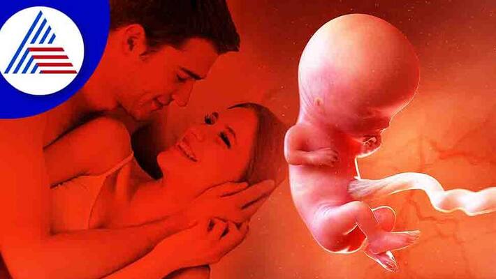 why child in womb becomes irritated when mother involves in intimacy why child in womb becomes irritated when mother involves in intimacy