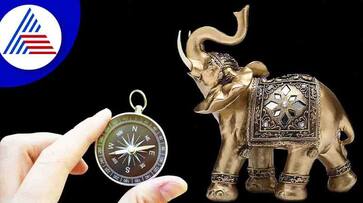 benefits of keeping elephant statue at home as per vastu in tamil mks benefits of keeping elephant statue at home as per vastu in tamil mks