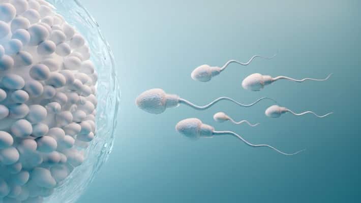 Be alert those 5 foods may decrease sperm ABSC Be alert those 5 foods may decrease sperm ABSC