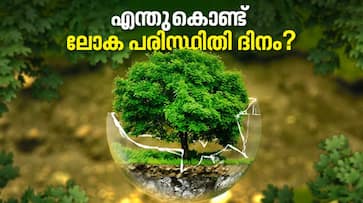 World environment day 2022 importance 