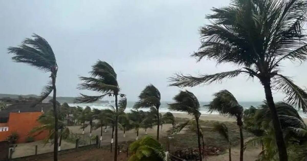 மெக்சிகோவை புரட்டி எடுத்த சூறாவளி.. பத்து பேர் பலியானதால் சோகம்...