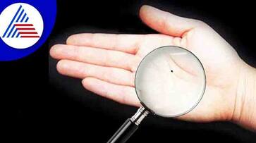 according to palmistry benefits of mole on palm of hand in tamil mks according to palmistry benefits of mole on palm of hand in tamil mks