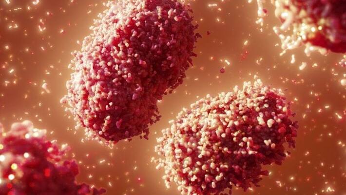 what is Langya henipavirus: A new zoonotic virus has infected 35 people in China. what is Langya henipavirus: A new zoonotic virus has infected 35 people in China.