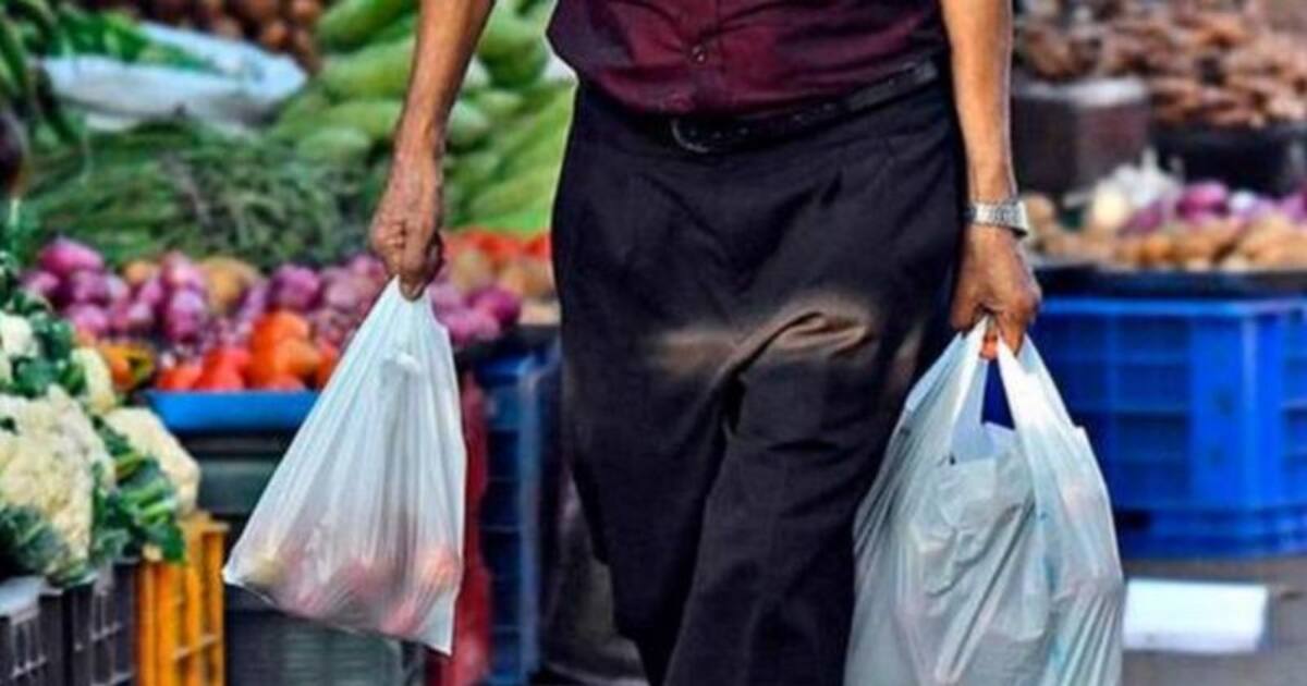 Plastic Bag: சர்வதேச பிளாஸ்டிக் பை இல்லாத நாள் 2022...இன்று முதல் புதிய மாற்றம் நம்மில் இருந்தே துவங்கட்டும்