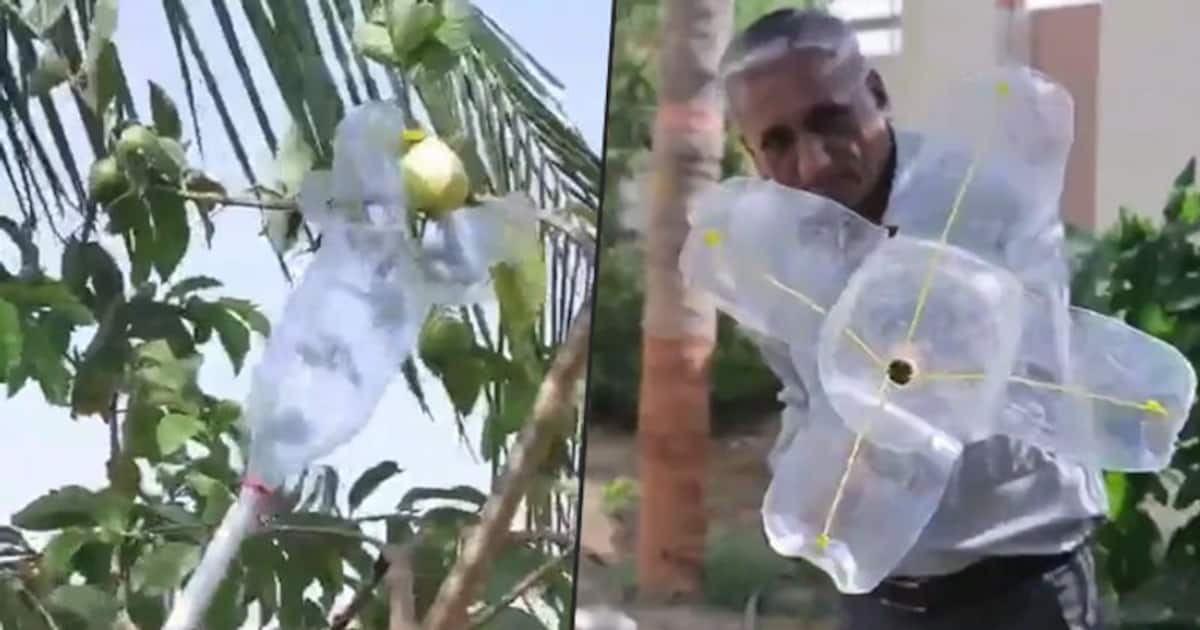 Man’s unique fruitpicking tool earns praises from Anand Mahindra; watch