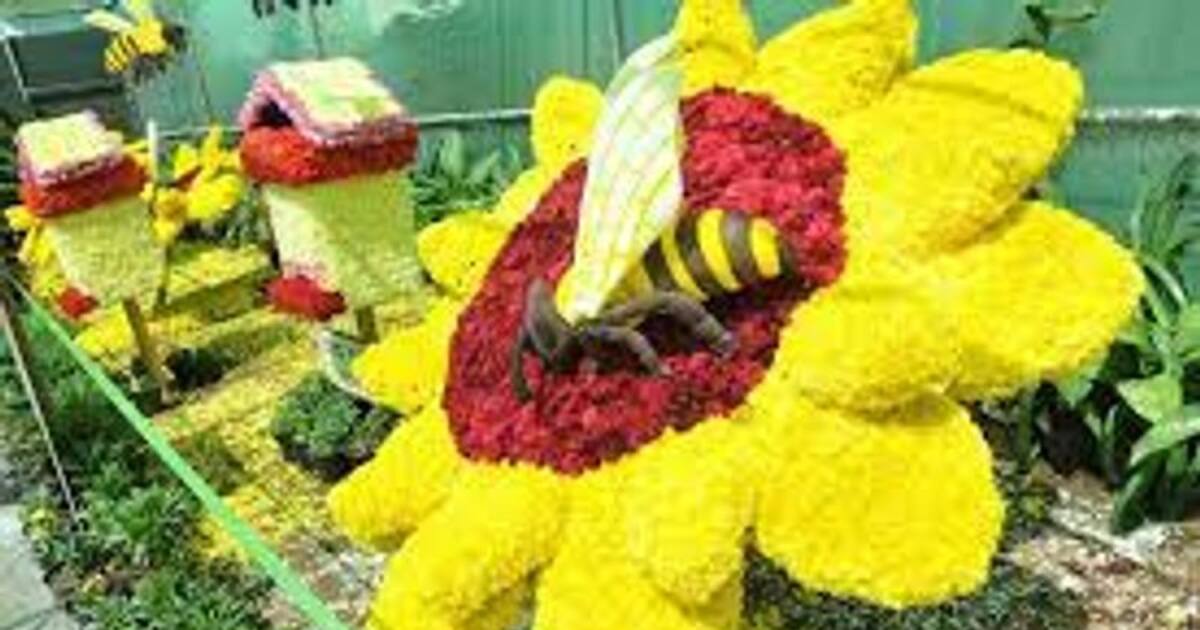 சென்னை மலர்க் கண்காட்சி.. வெறும் 2 நாட்களில் ரூ.8.35 லட்சம் கட்டணம் வசூல்.. இன்றுடன் நிறைவு..