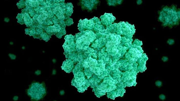 Kerala confirms 2 cases of Norovirus health minister says no need for concern Kerala confirms 2 cases of Norovirus health minister says no need for concern