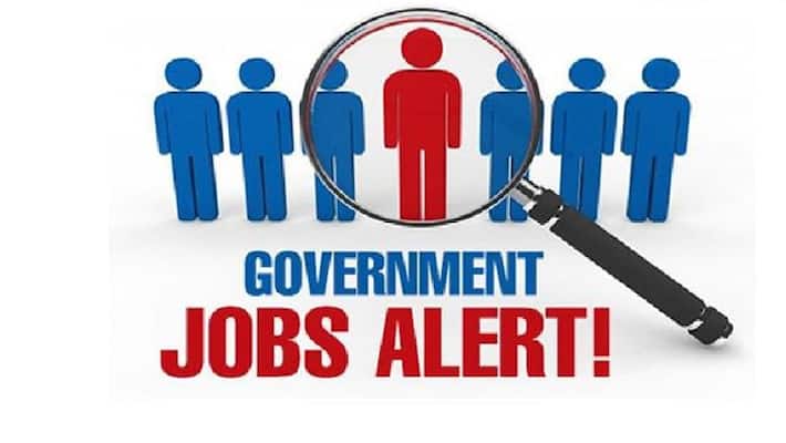IBPS took out the vacancy of Programming Assistant will get 40 thousand more salary know details IBPS took out the vacancy of Programming Assistant will get 40 thousand more salary know details
