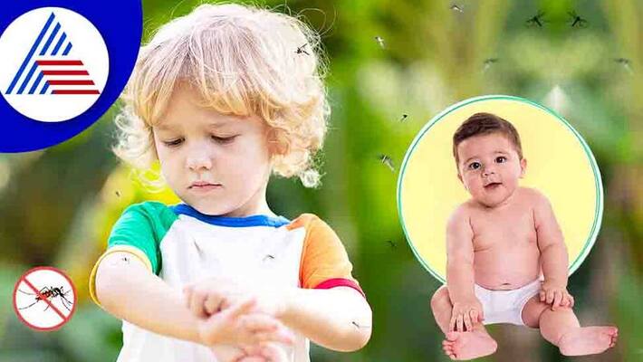 Tips To Protect Your Child Against Mosquito Bites Vin Tips To Protect Your Child Against Mosquito Bites Vin