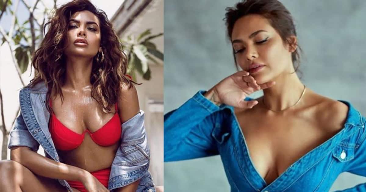 Honey Singh Sex Bf Hd - Sexy bikini pictures, videos of Esha Gupta that you should not miss