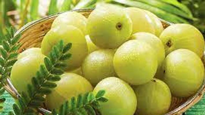 People with these diseases should not eat amla People with these diseases should not eat amla