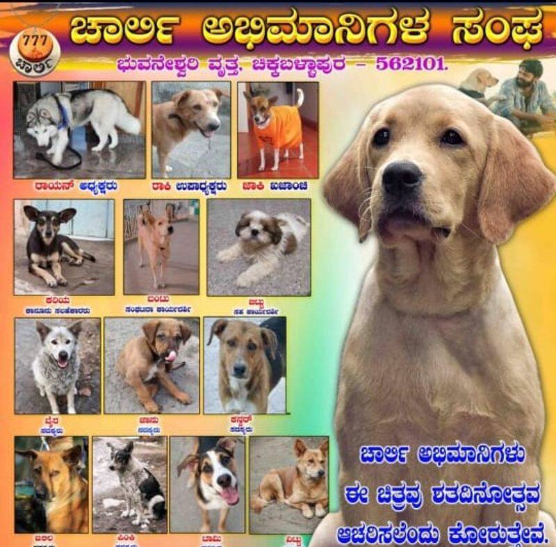 Rakshit shetty 777 charli dog fans club banner in Chikkaballapur goes viral vcs 
