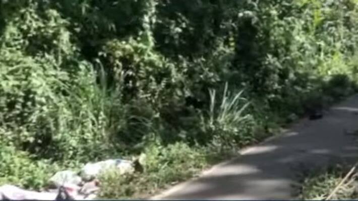 admali acident death case police caught one through cctv admali acident death case police caught one through cctv