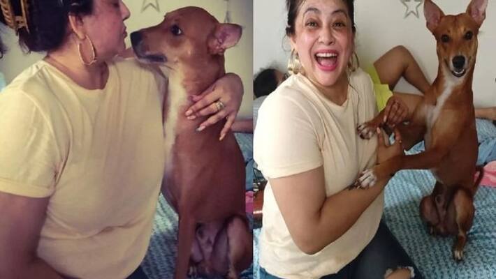 Actress Srilekha Mitra comments that Dogs are far better than Humans anbad Actress Srilekha Mitra comments that Dogs are far better than Humans anbad