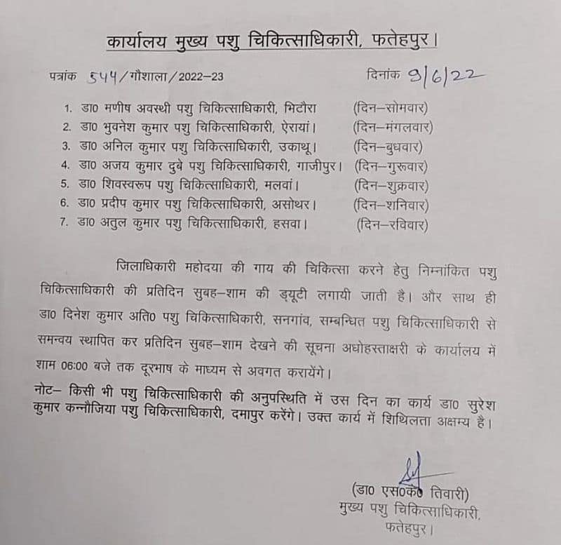 Viral Order deputes 7 veterinary doctors for Fatehpur DM's cow