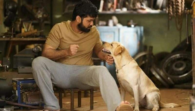 Bigg Boss Kannada 10: Rakshit Shetty's dog 'Charlie' to enter Kichcha Sudeep's reality show; read details RBA