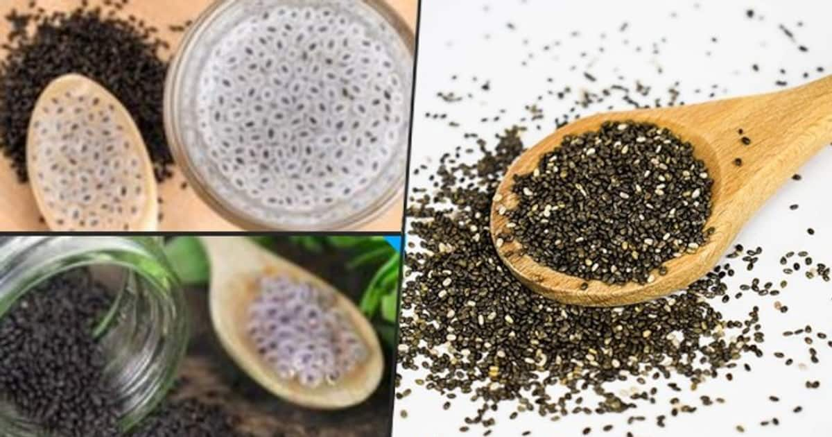 Chia or Sabja seeds Know the difference between two and their