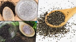 Health Benefits of drinking Sabja Seeds water In Summer ram