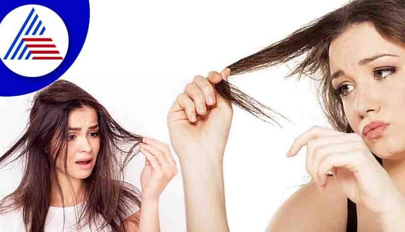 Are you facing hair or scalp allergies? All you need to know about hair-related issues RBA
