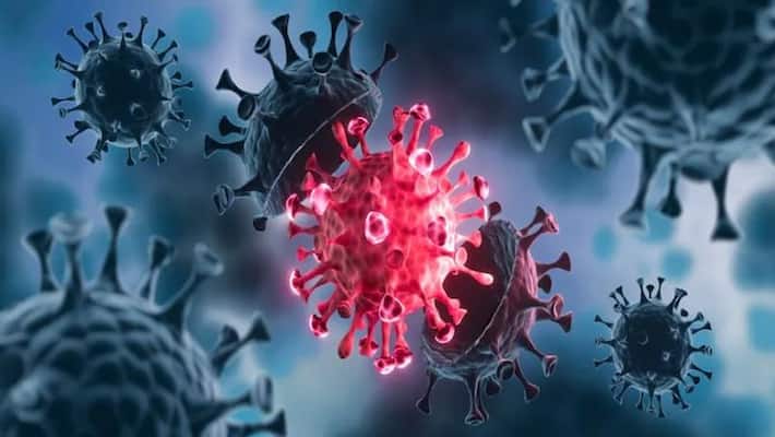 Drug developed by DRDO may reverse heart damage caused by COVID protein Study gcw Drug developed by DRDO may reverse heart damage caused by COVID protein Study gcw