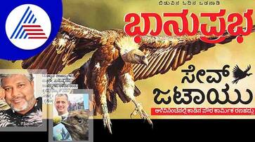 Why and How To Save The Scavenger Bird Vultures vcs Why and How To Save The Scavenger Bird Vultures vcs