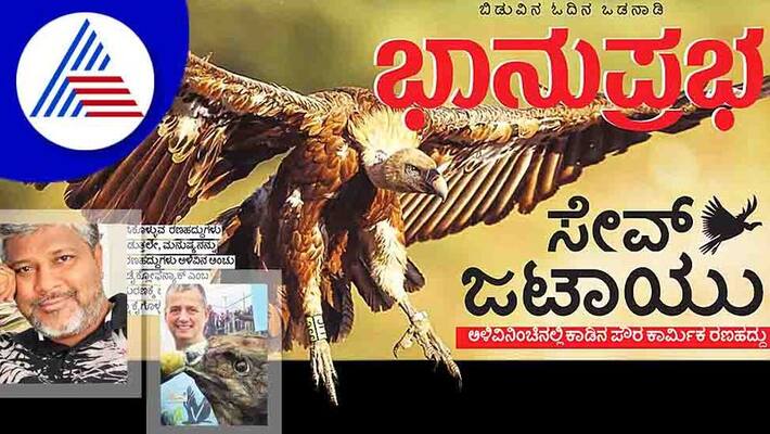 Why and How To Save The Scavenger Bird Vultures vcs Why and How To Save The Scavenger Bird Vultures vcs