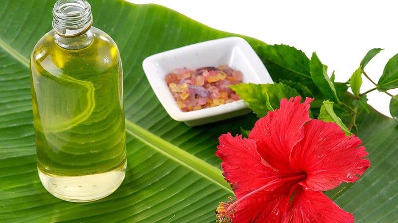 Effective benefits of Hibiscus for Hair care and shiny hair