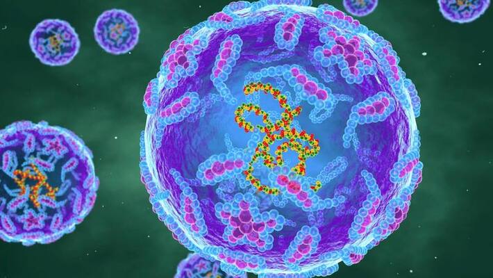 Polio Virus Detected In London Sewage Samples who Polio Virus Detected In London Sewage Samples who
