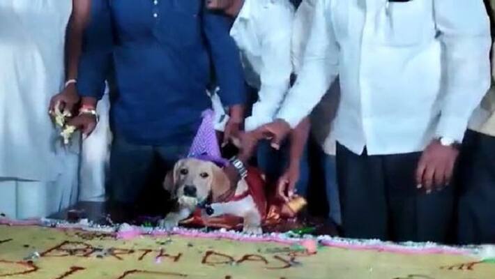 dog Birthday Party reveals Gram Panchayat Politics at Belagavi District rbj dog Birthday Party reveals Gram Panchayat Politics at Belagavi District rbj