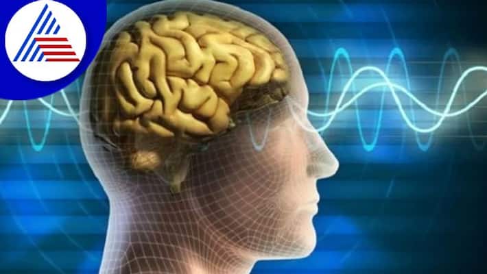 World Brain Day 2022: Lets Make Brain Happy, Things To Keep For Brain Health Vin World Brain Day 2022: Lets Make Brain Happy, Things To Keep For Brain Health Vin