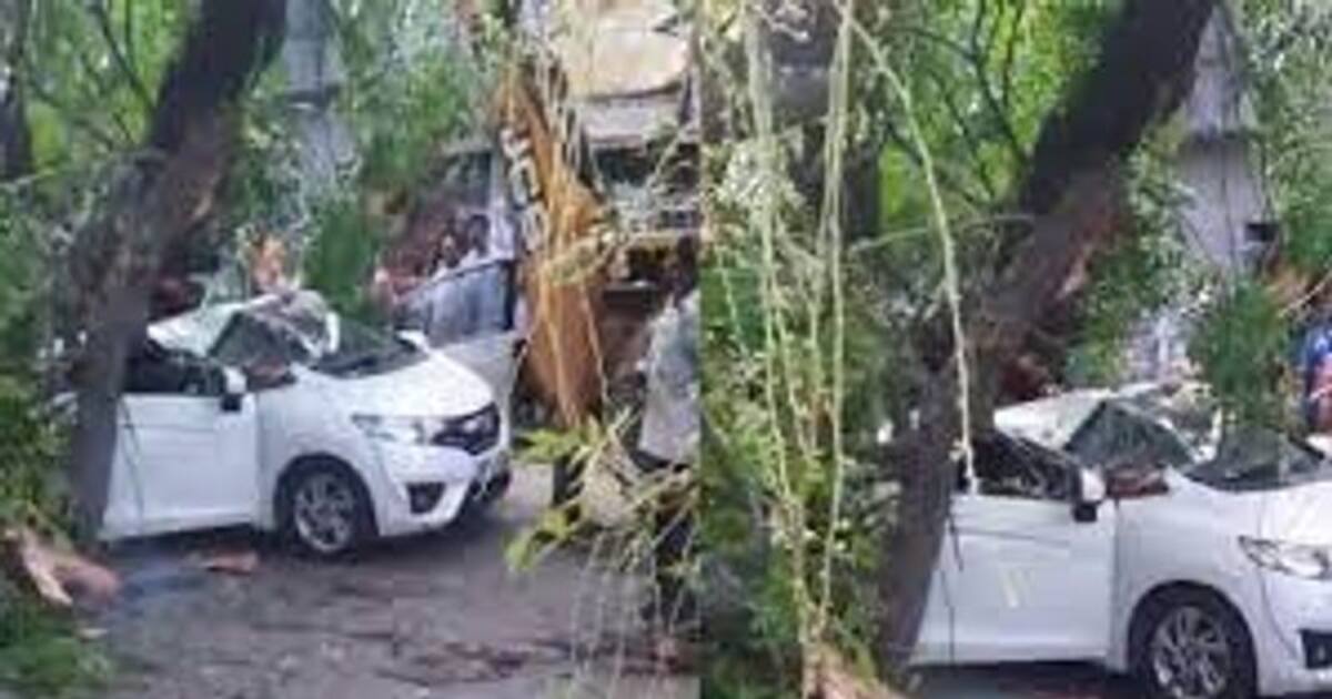 சென்னையில் கார் மீது மரம் விழுந்து வங்கி மேலாளர் பலி.. மழை நீர் வடிகாலுக்காக தோண்டப்பட்ட பள்ளம் தான் காரணமா..?