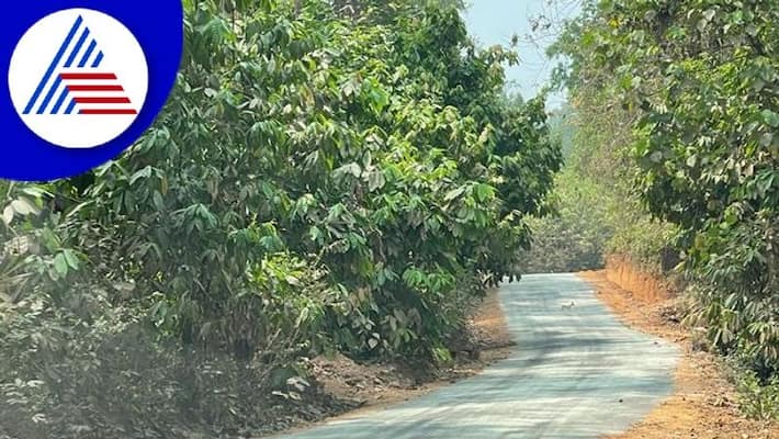 Village gets new road after Journalists village stay in mangalore pod Village gets new road after Journalists village stay in mangalore pod