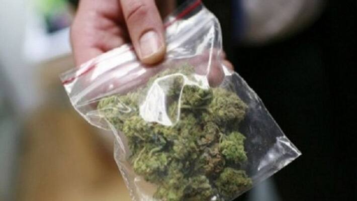 Mumbai NCB busts inter state drug syndicate; 286 kg of ganja worth Rs 3.5 cr seized kpa Mumbai NCB busts inter state drug syndicate; 286 kg of ganja worth Rs 3.5 cr seized kpa