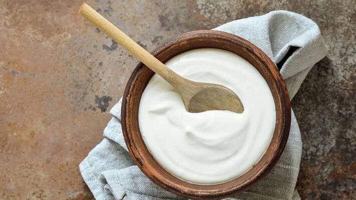 Health Navratri 2022 eat dahi during fasting for energy NTP Health Navratri 2022 eat dahi during fasting for energy NTP