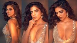 Vijay movie heroine Malavika mohanan in glittering glamor style