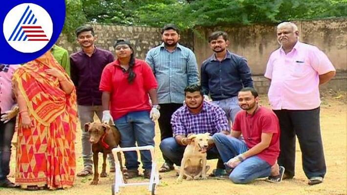 Spoorty Caring for Animals in Chitradurga grg Spoorty Caring for Animals in Chitradurga grg
