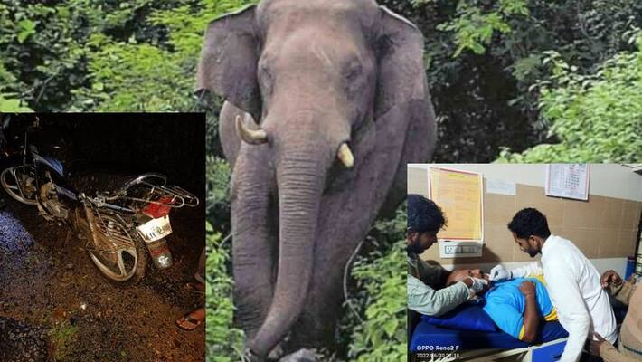 wild elephant attack biker narrowly escaped in Mudigere akb wild elephant attack biker narrowly escaped in Mudigere akb